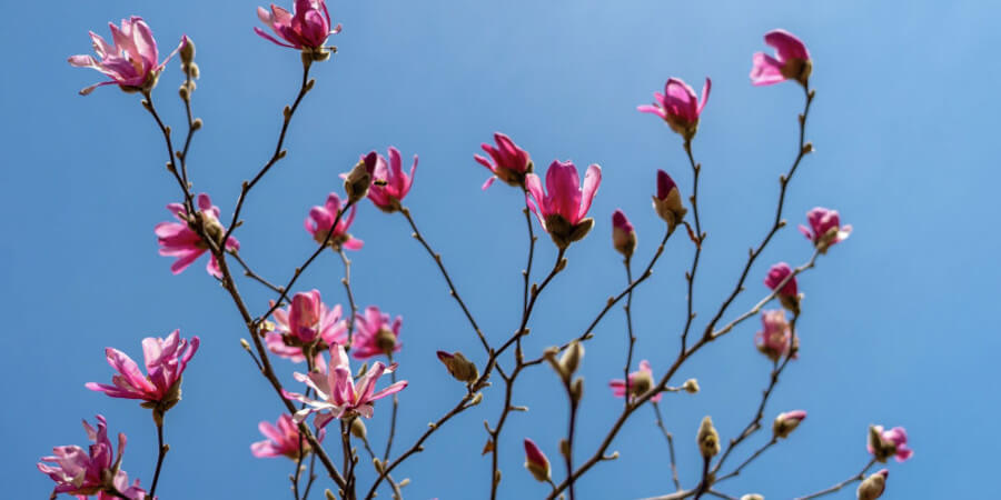 Сколько дней казахстанцы отдохнут в мае