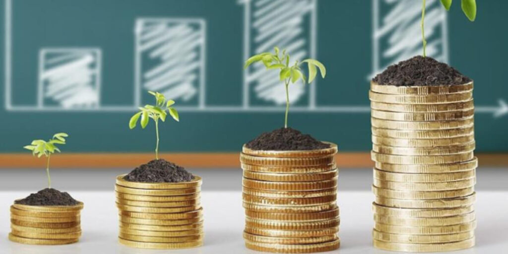 Вино, Lego и пластинки: как инвестировать в то, что нравится