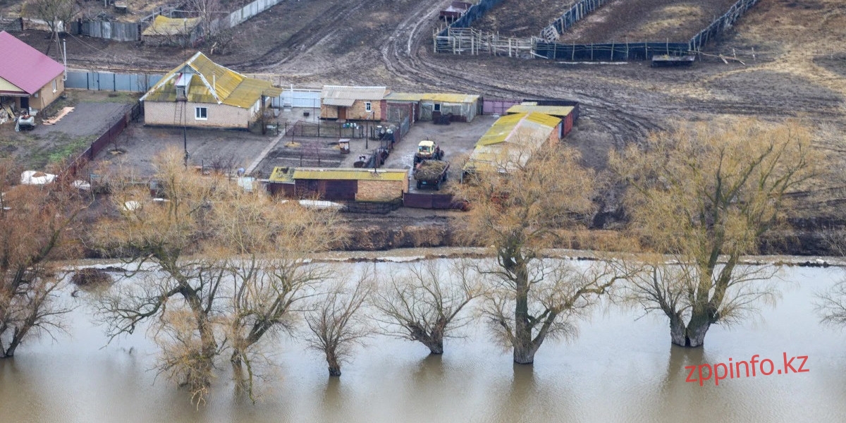 О проводимых мероприятиях в связи с режимом чрезвычайной ситуации